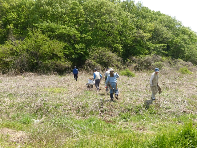 生育する樹林に向かう