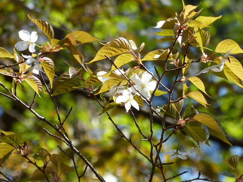 2019年4月4日