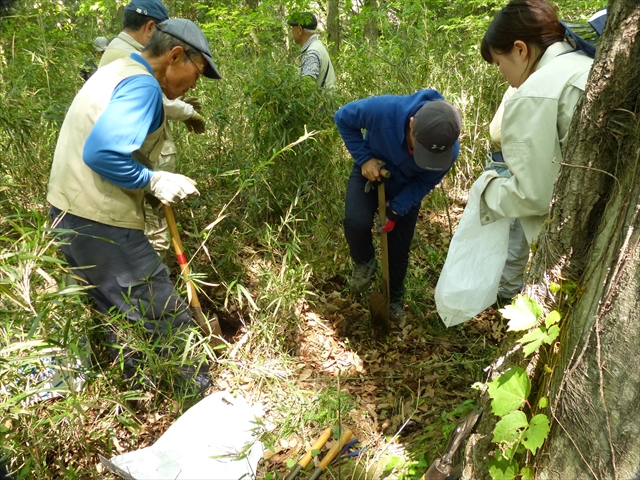 希少植物を掘り出す