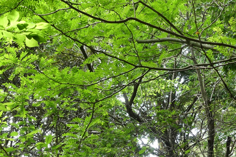 2025年5月11日