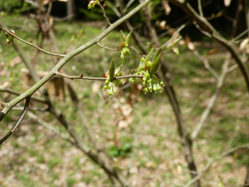 2018年4月8日