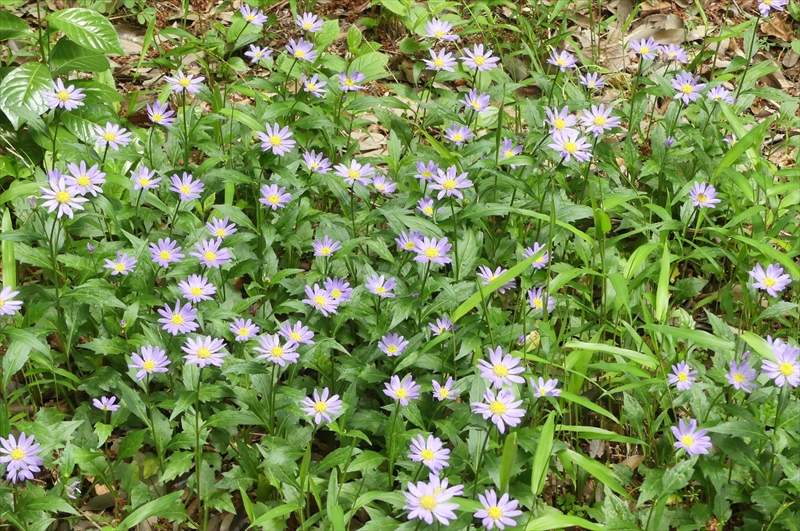 2021年4月19日