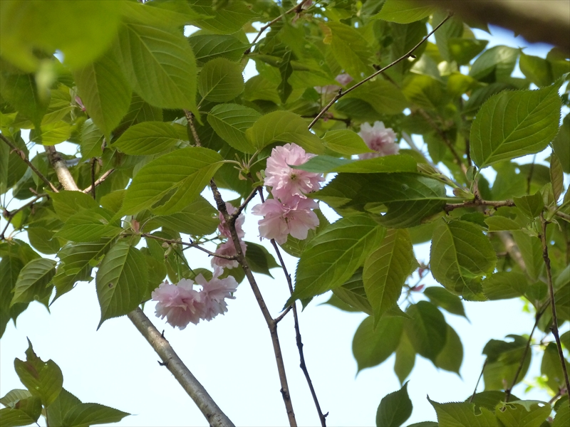 2019年4月20日