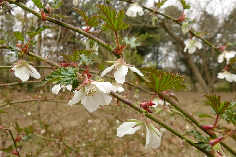 2016年4月2日