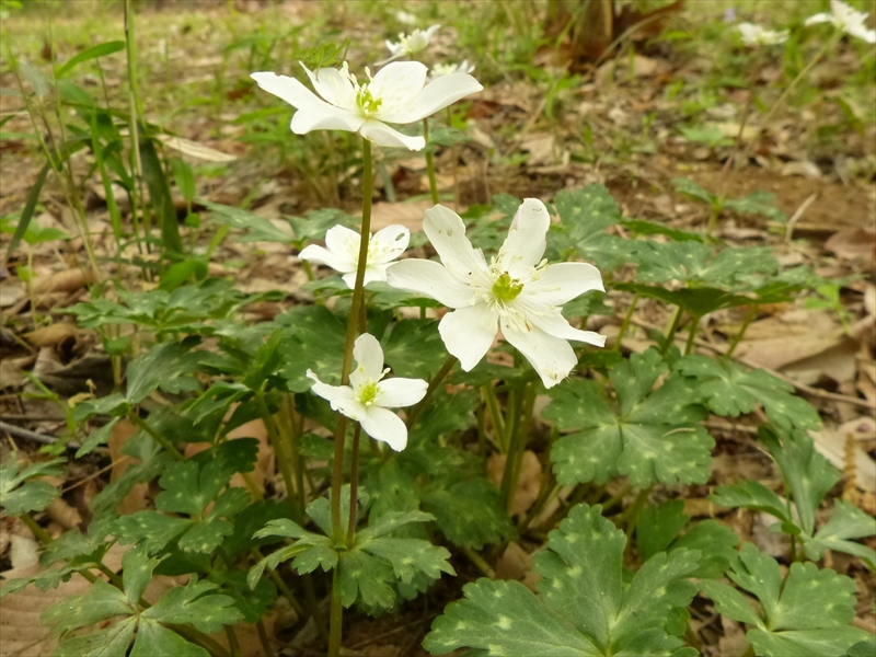 2018年4月7日