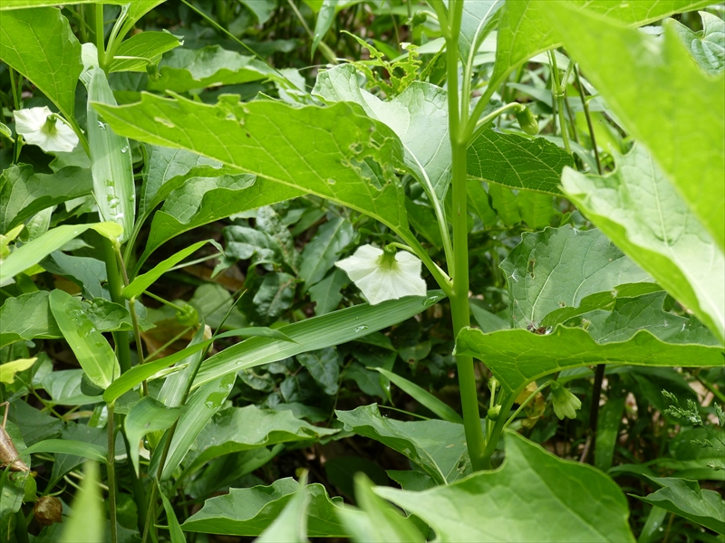 2012年6月2日
