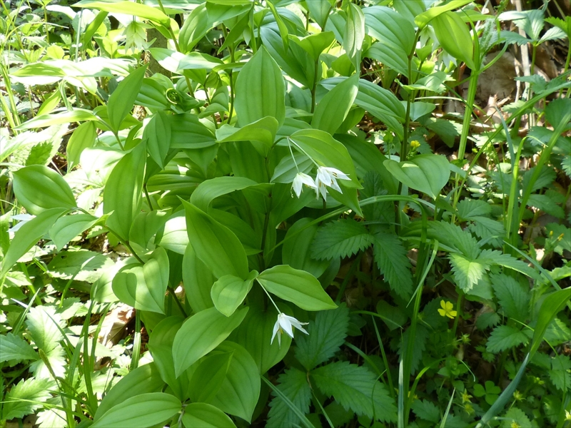 2012年5月6日