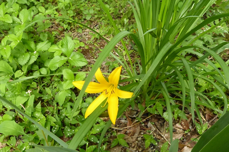 2017年5月14日