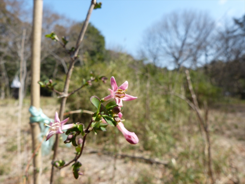 2013年3月16日