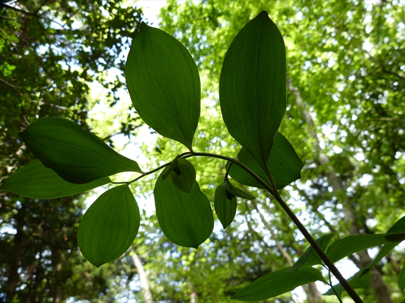2019年4月29日