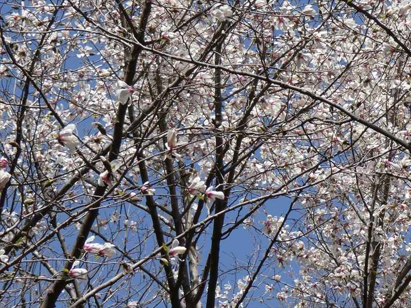 2020年3月21日