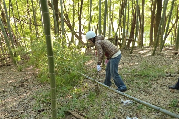 竹の枝落とし