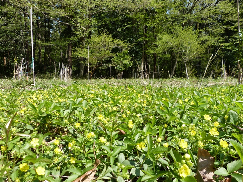 2013年4月13日