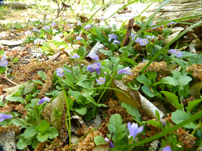 2019年4月20日