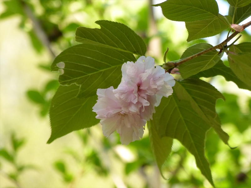 2019年4月20日