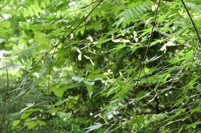 2025年5月11日