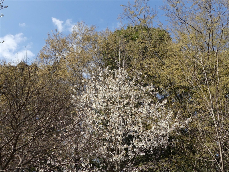 2023年3月20日