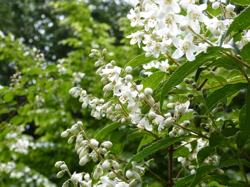 2013年5月21日