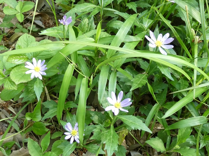 2021年4月19日