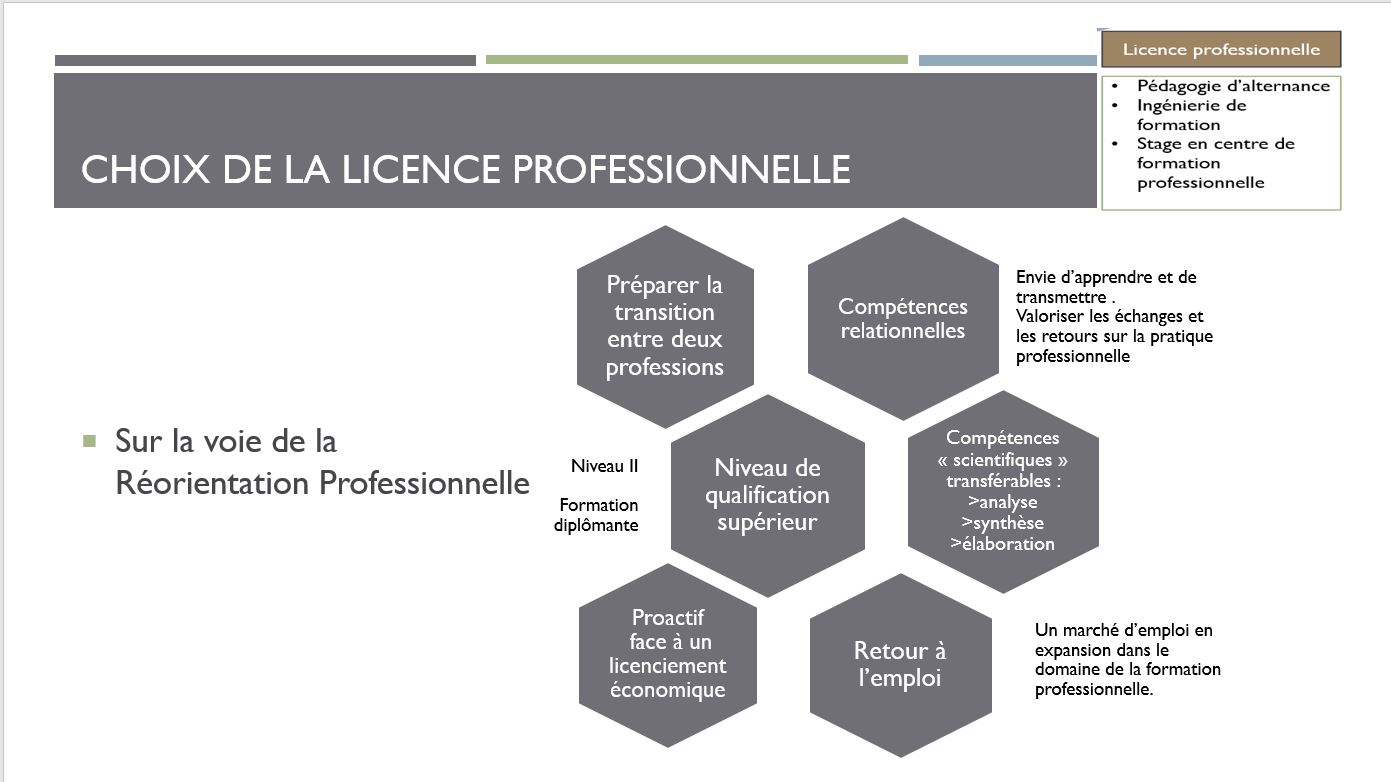 Licence Pro Ingénierie de formation Site de eportefoliogalpintiphaine
