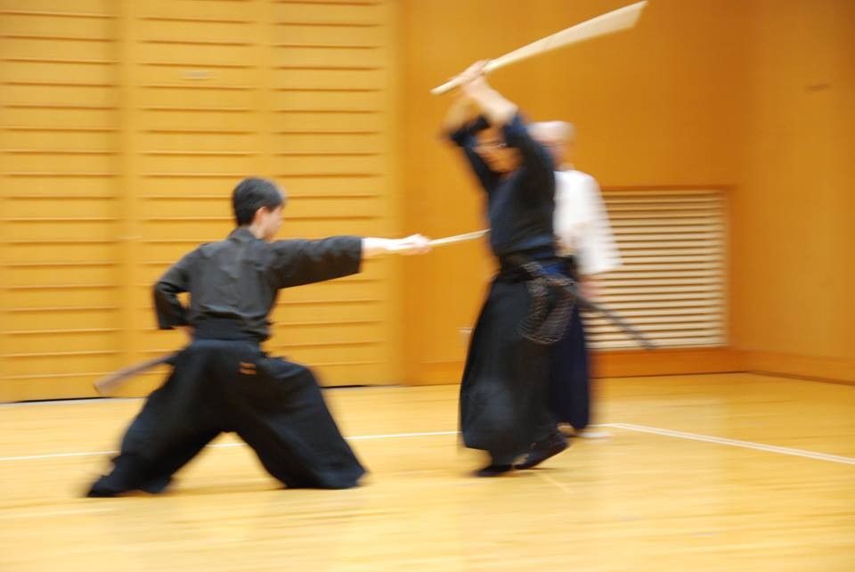 抜刀術神伝流(無双神傳抜刀術兵法) 抜刀術神伝流(無双神傳抜刀術兵法)