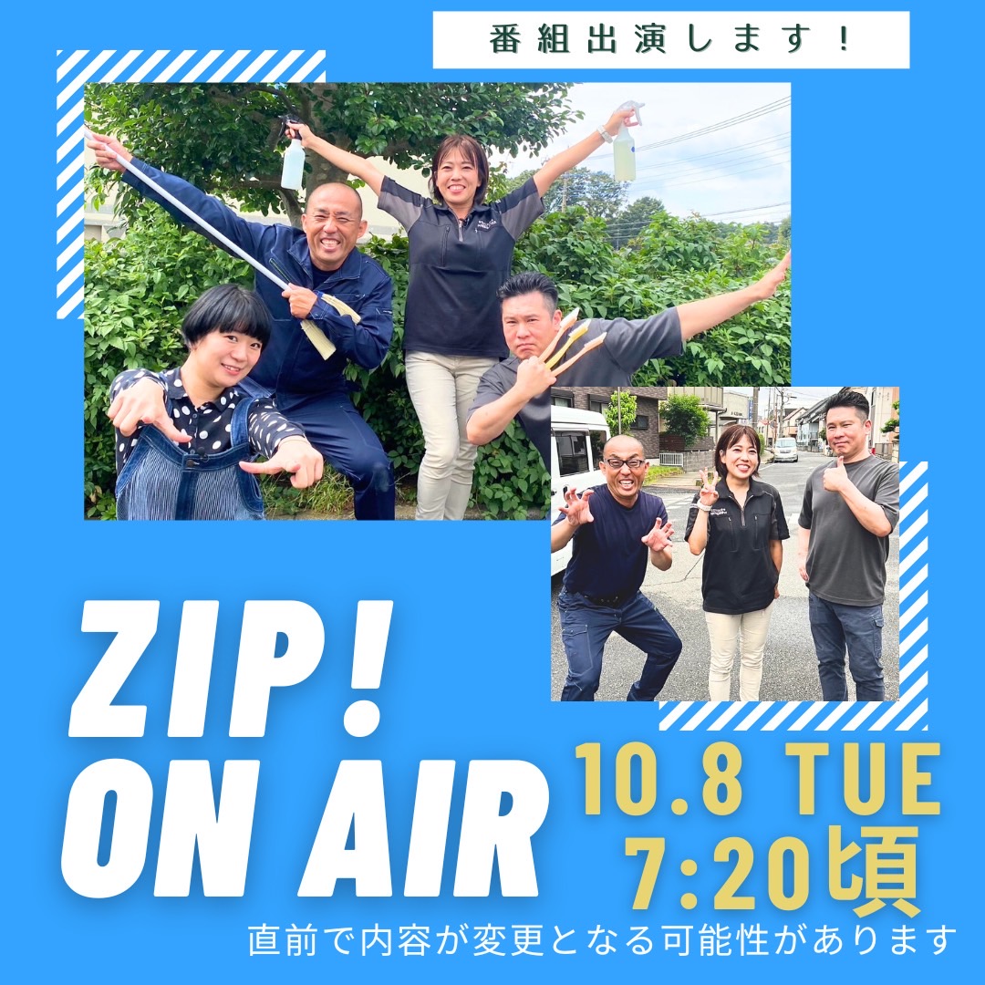 日本テレビZIP出演