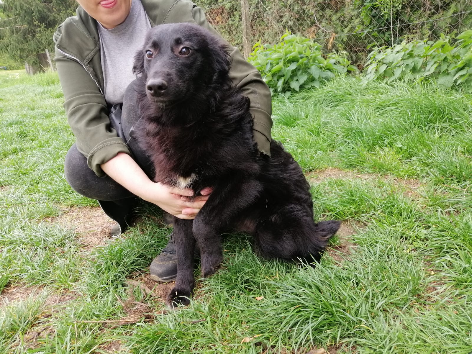 Mathilda Lesika Hundehilfe