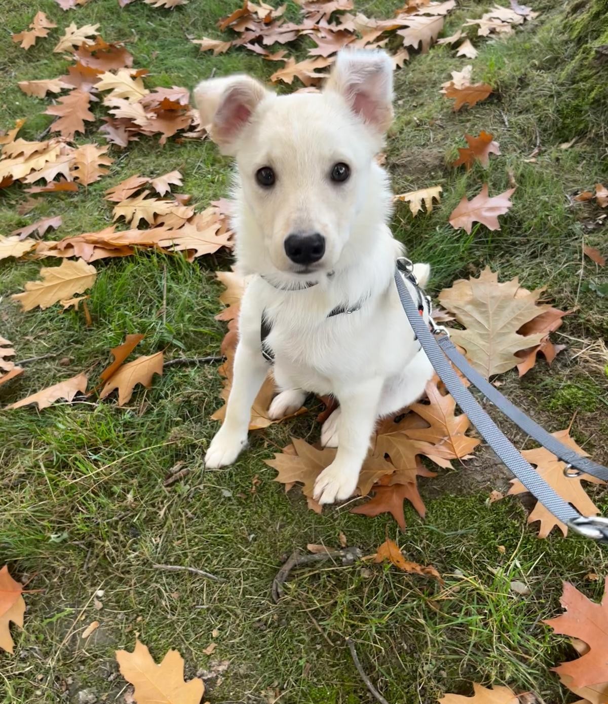 Nakita