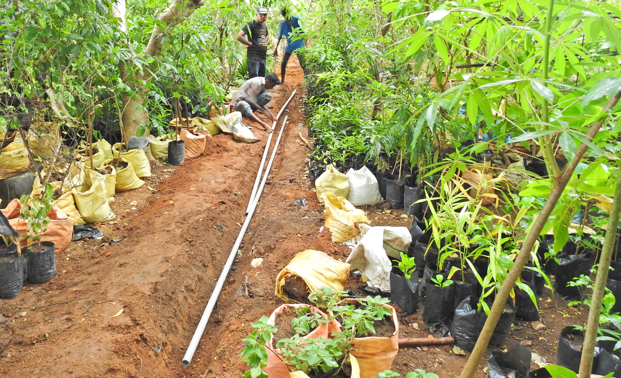 Building the Garden - Installing Sprinklers