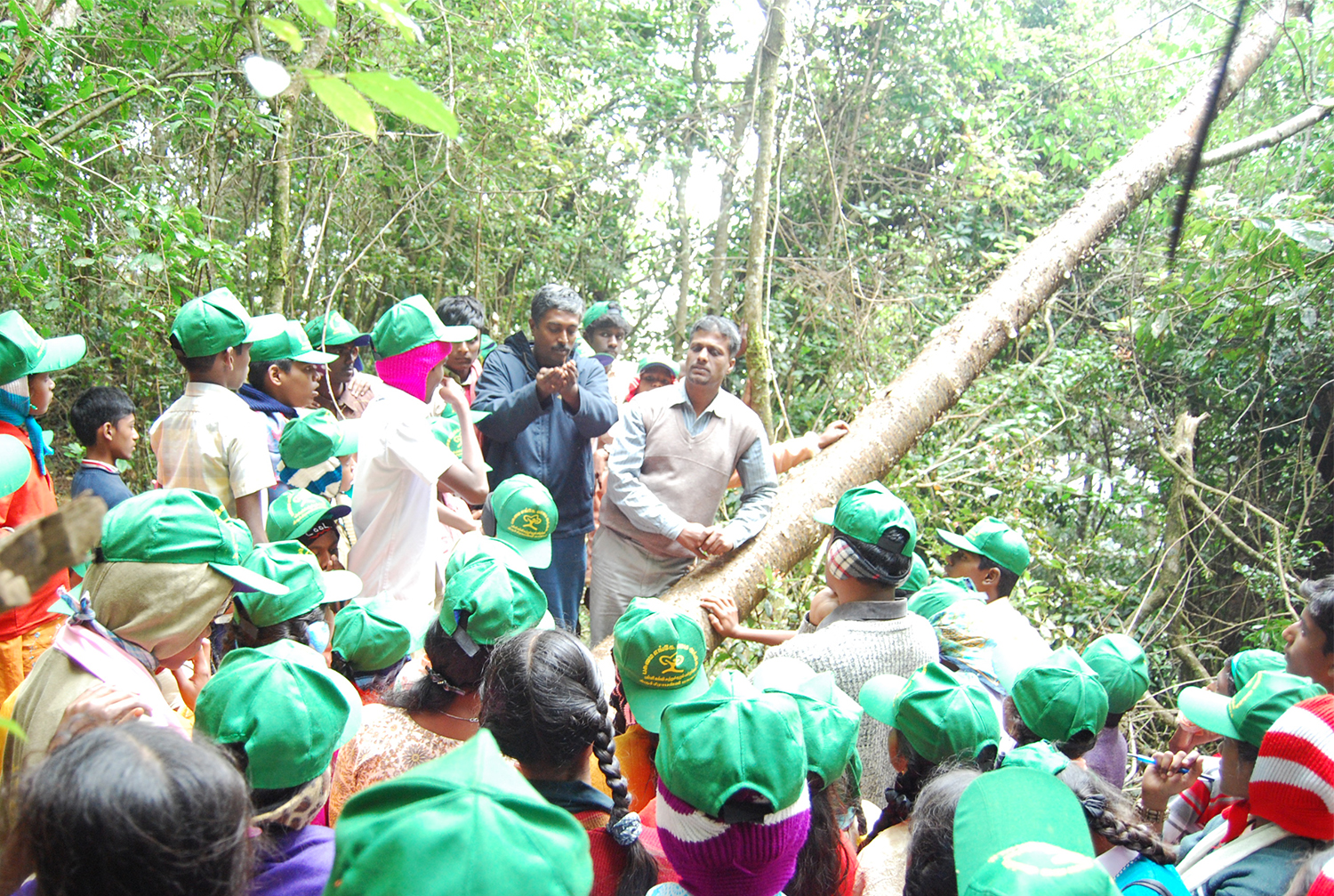 Education Outreach - School in the Forest