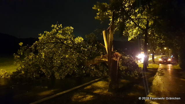 Umgefallener Baum auf  die Oberfeldstrasse