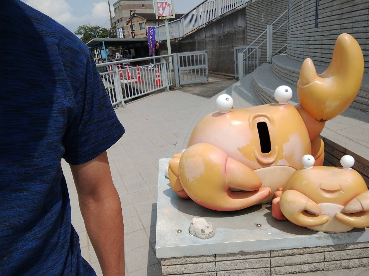 あやめ祭り