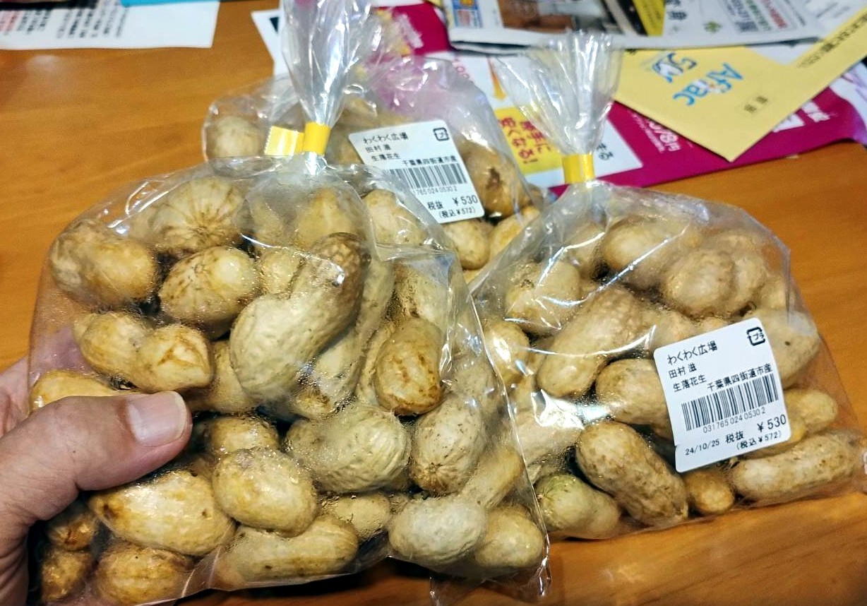 生落花生