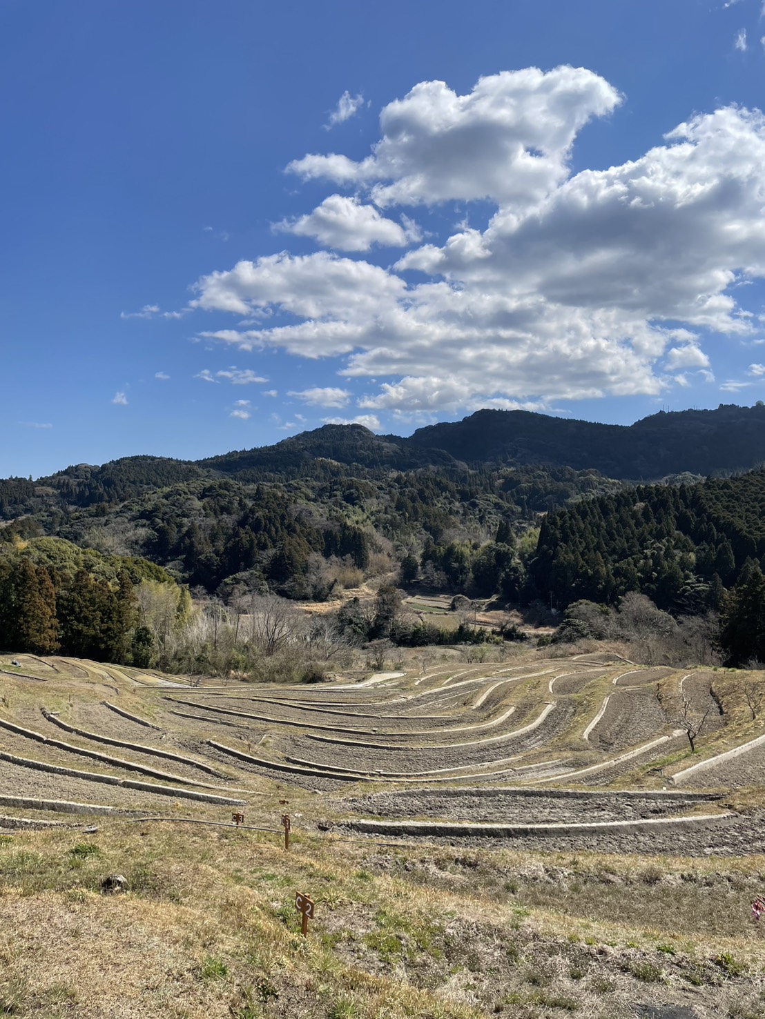 千葉県の棚田