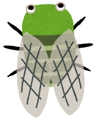 セミ