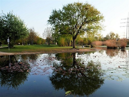 Park Tannenbusch