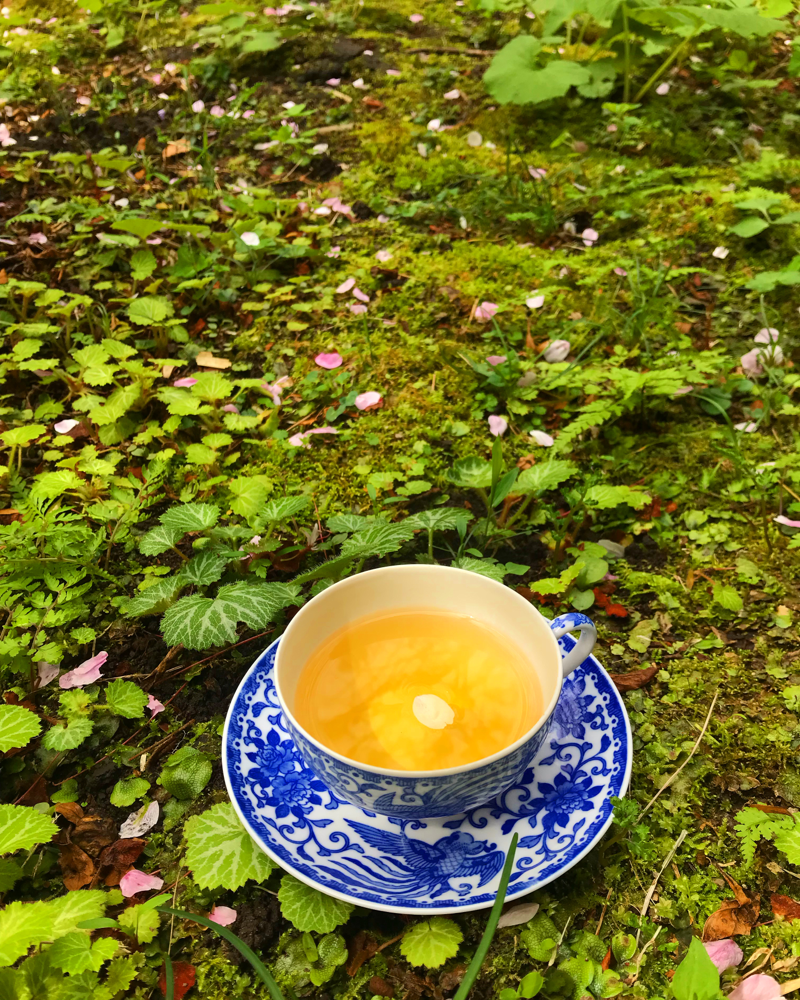 古都　鎌倉の庭にて