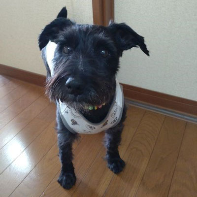 2024.5.14     ＊ジョニーくんが正式譲渡になりました。