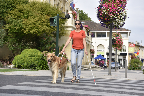 Photo d'une jeune femme aveugle traversant la rue avec son chien-guide