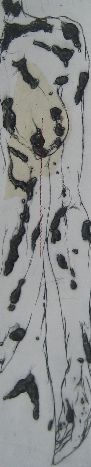 Sans titre - Pointe sèche et carborundum sur zinc, chine appliqué et couture - 2013