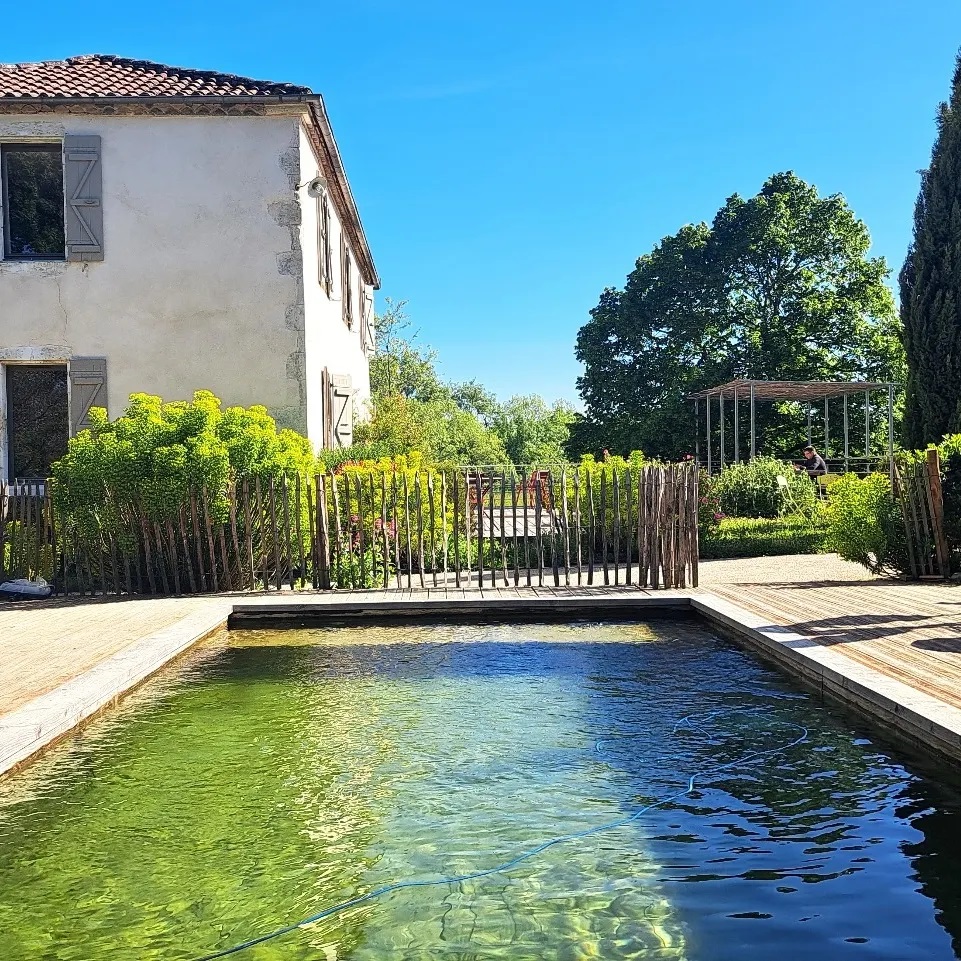 Détente écoresponsable au bord de la piscine écologique