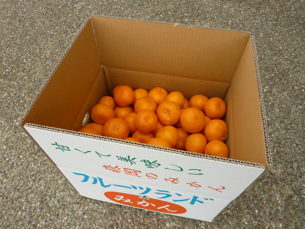奈良県桜井市　森岡利博みかん園のお取り寄せみかん