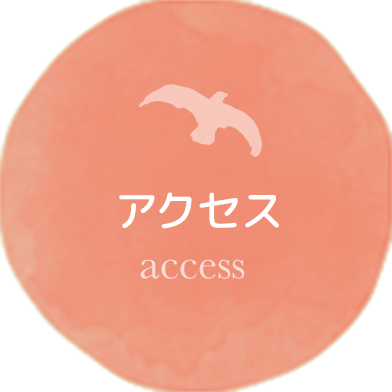 アクセス