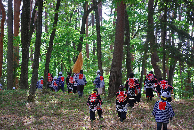 大理神社御柱祭に向けて御柱の伐採が行われました