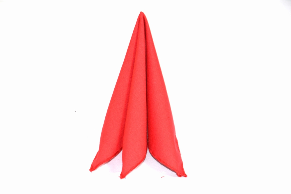 rotes Einstecktuch