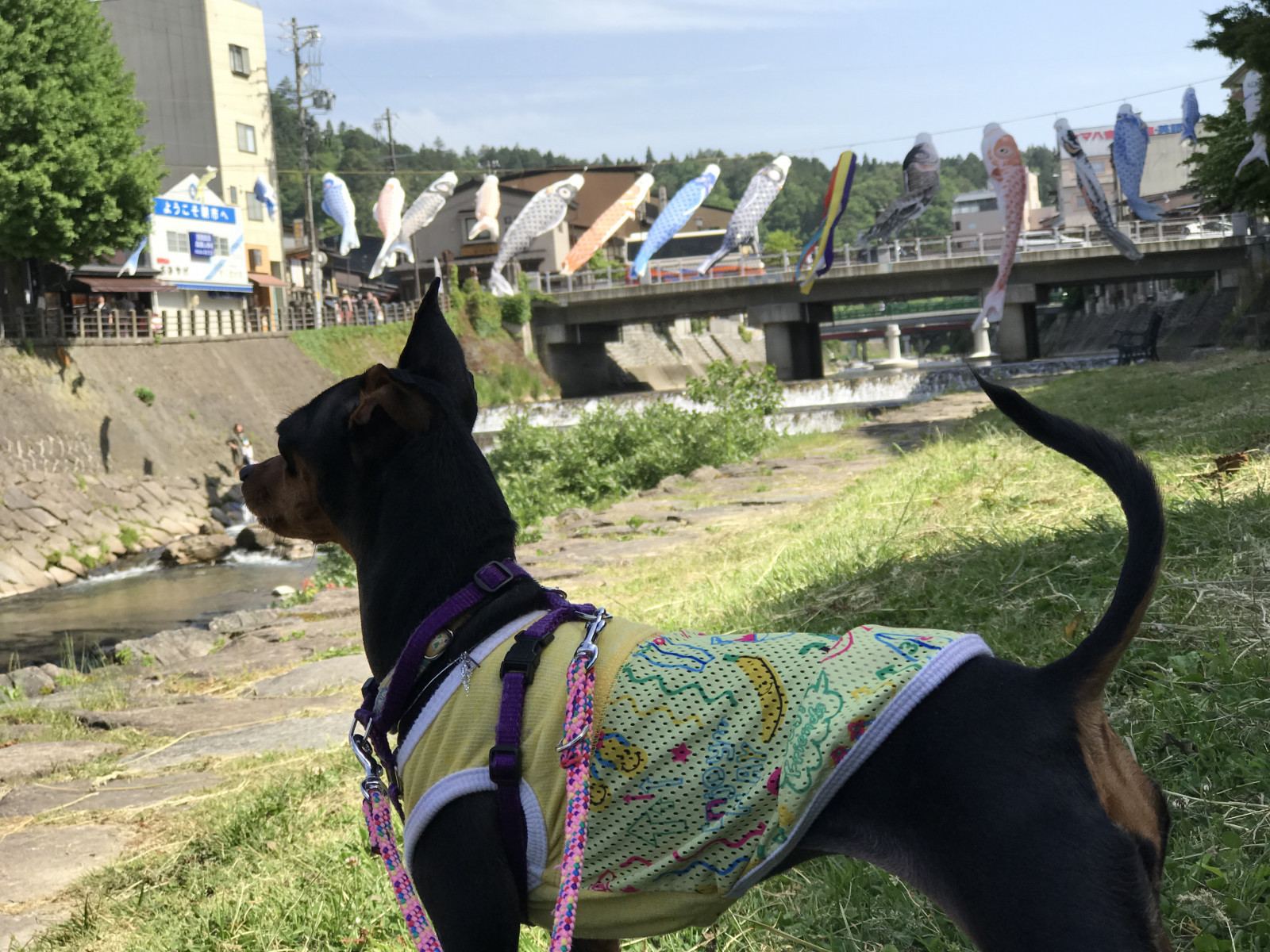 夏服2018