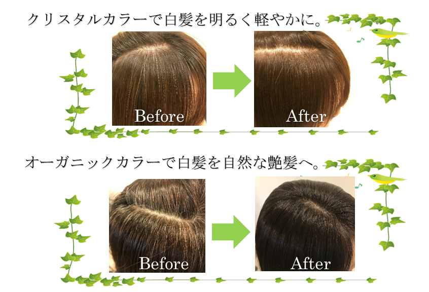 クリスタルカラーとオーガニックカラーの施術前後