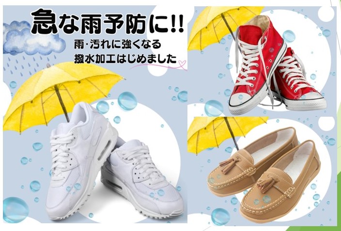 雨が多い時期になりました