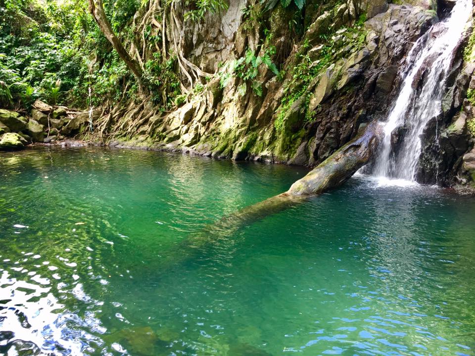 Journée Sud Basse Terre Côte au vent