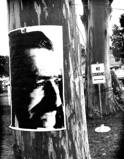 1973 : Baba poster on tree at the Aquarias Festival at Nimbin, Northern NSW, Australia